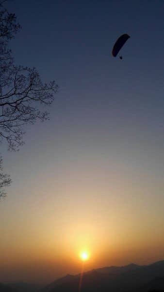フライトは朝と夕方に