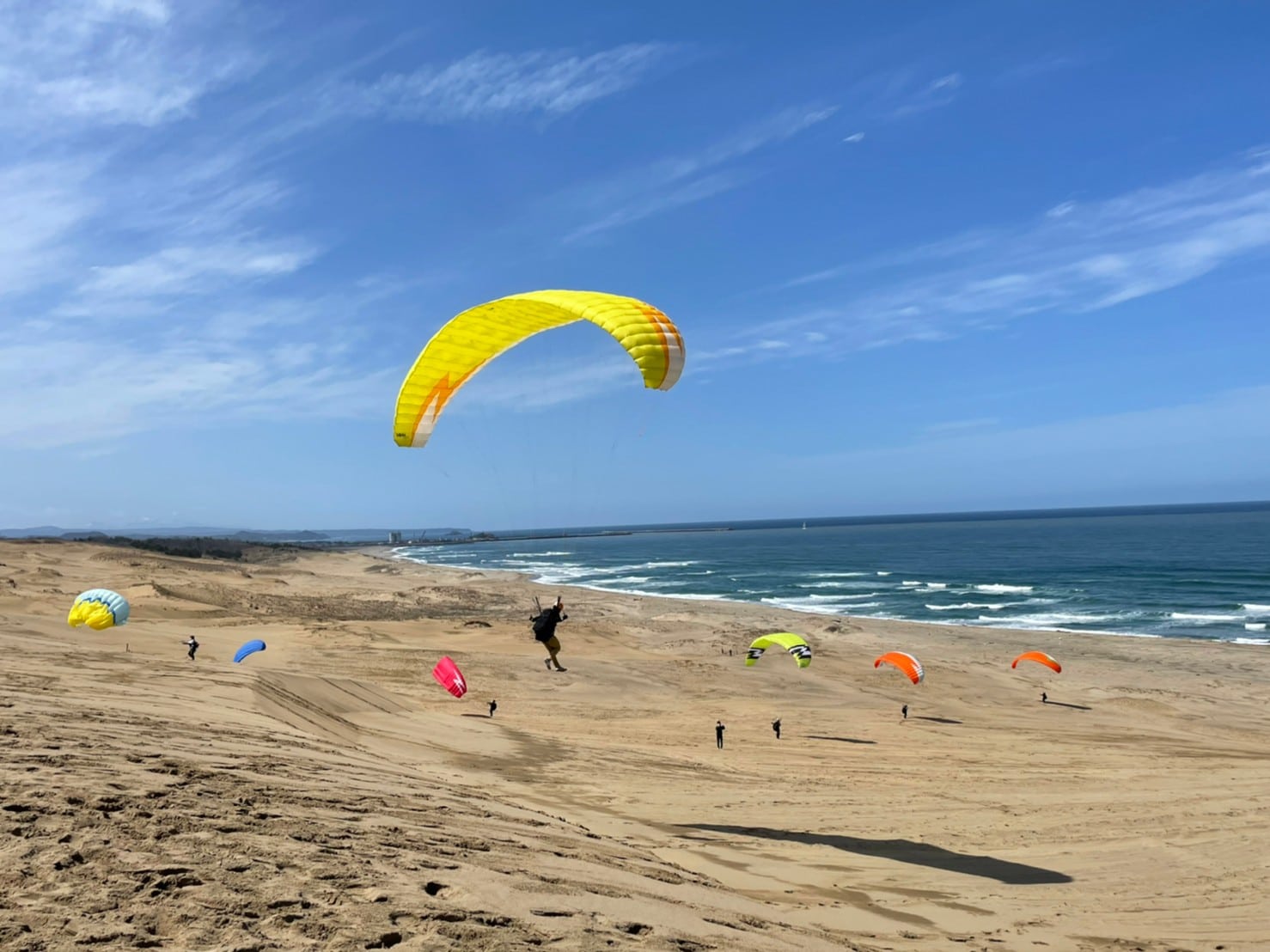 グランドフリースタイル