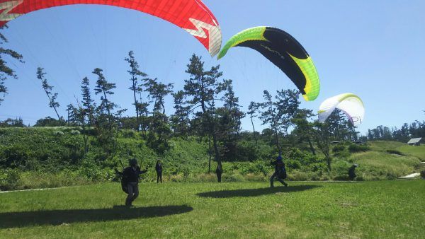 グランドフリースタイル